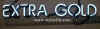 extra_gold_neon_sign_part_2.JPG (52271 bytes)